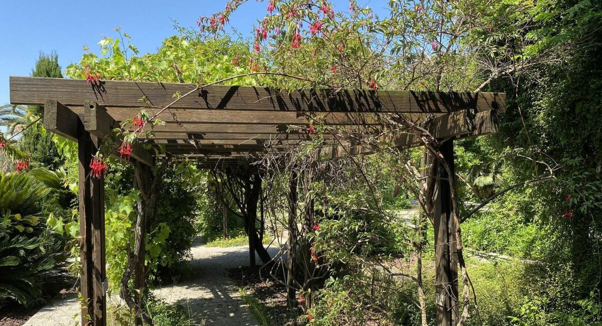 Parc-Borély-Marseille-2