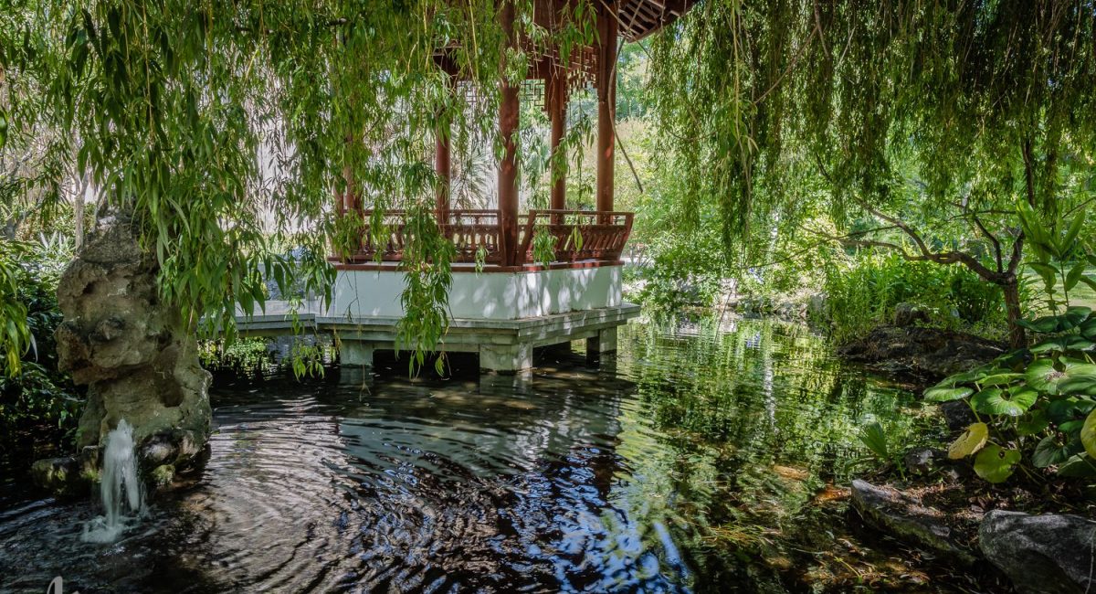 image_0560724_20201115_ob_4ad5cd_psm-0138