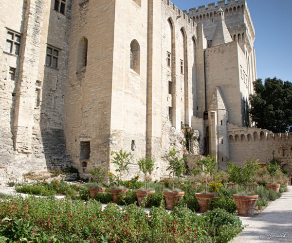 jardins©f.mariotti-63