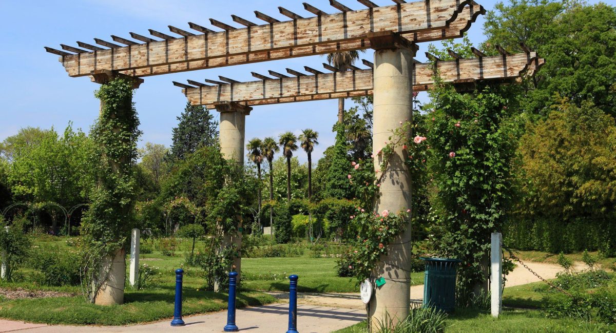 roseraie-parc-borely-marseille.jpg__2000x1333_q85_crop_subsampling-2